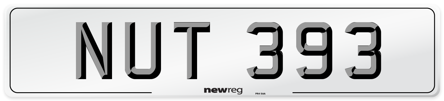 NUT 393 Number Plate from New Reg